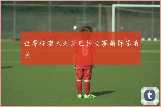 世界杯澳大利亚巴拉圭赛前阵容看点