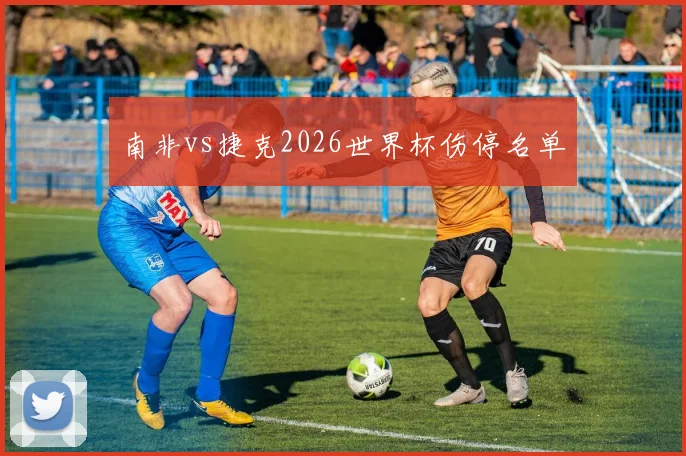南非vs捷克2026世界杯伤停名单