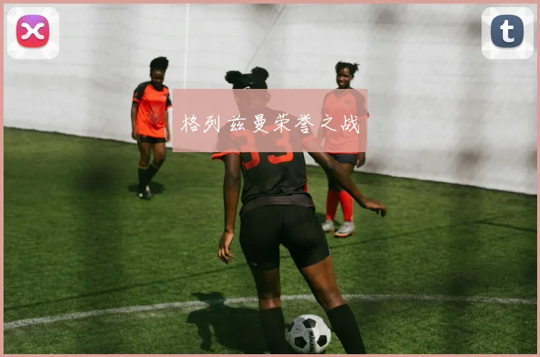 星空app登录入口 - 格列兹曼荣誉之战