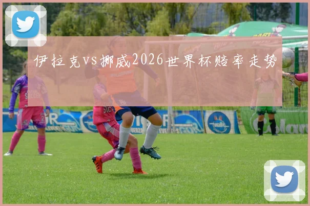 伊拉克vs挪威2026世界杯赔率走势