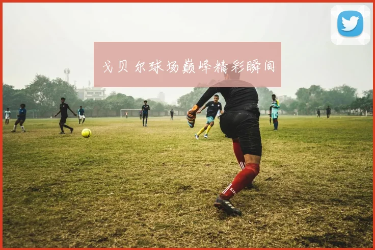 星空app登录入口 - 戈贝尔球场巅峰精彩瞬间