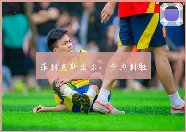 星空app登录入口 - 菲利克斯出击，全力制胜