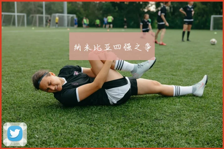 星空app登录入口 - 纳米比亚四强之争