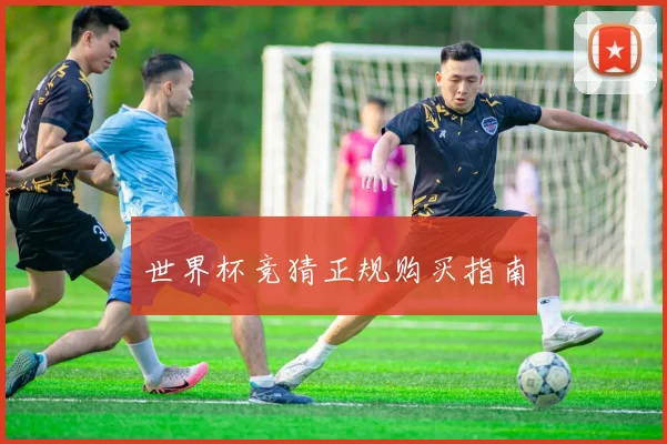 星空app登录入口 - 世界杯竞猜正规购买指南
