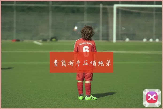 星空app登录入口 - 青岛海牛压哨绝杀
