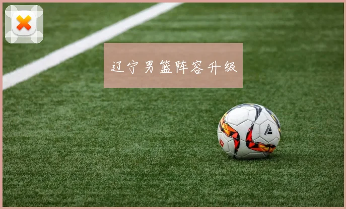 星空app登录入口 - 辽宁男篮阵容升级