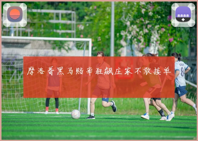 星空app登录入口 - 摩洛哥黑马赔率狂飙庄家不敢接单