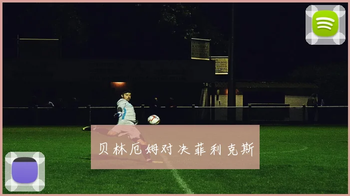 星空app登录入口 - 贝林厄姆对决菲利克斯