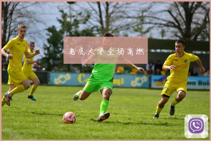 星空app登录入口 - 老虎大学全场高燃