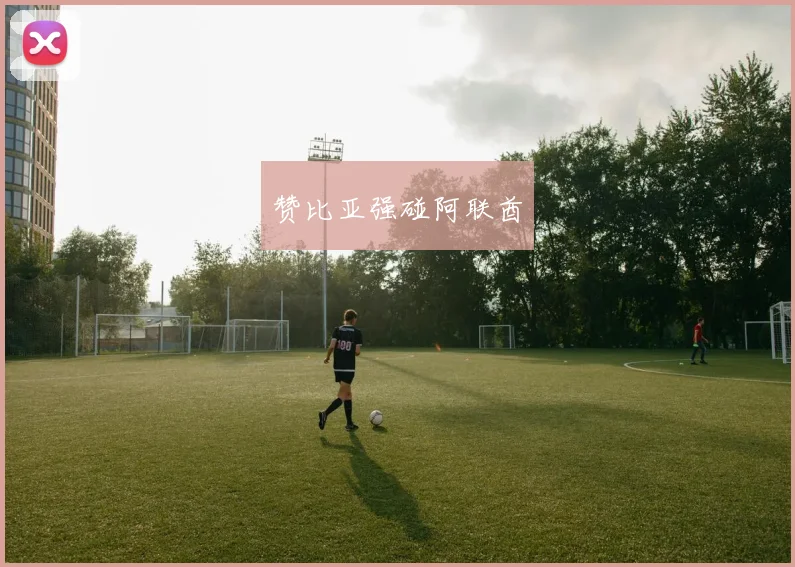 星空app登录入口 - 赞比亚强碰阿联酋