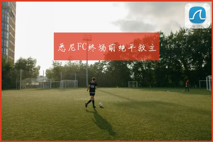 星空app登录入口 - 悉尼FC终场前绝平救主
