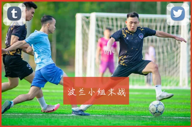星空app登录入口 - 波兰小组末战