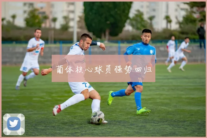 星空app登录入口 - 葡体核心球员强势回归