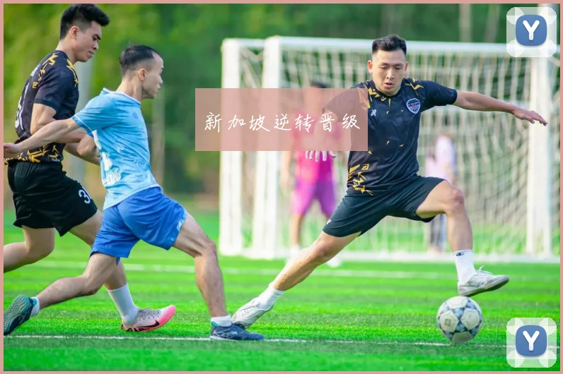 星空app登录入口 - 新加坡逆转晋级