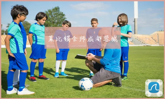 星空app登录入口 - 莱比锡会师成都蓉城
