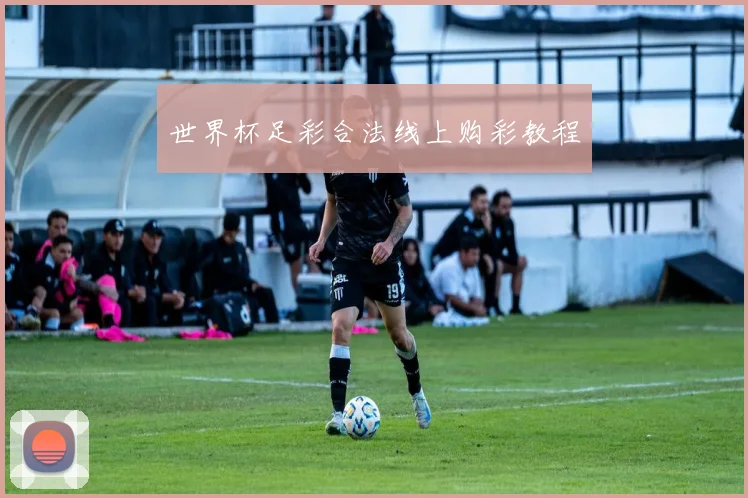 星空app登录入口 - 世界杯足彩合法线上购彩教程