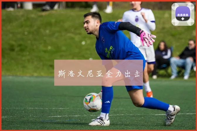 星空app登录入口 - 斯洛文尼亚全力出击