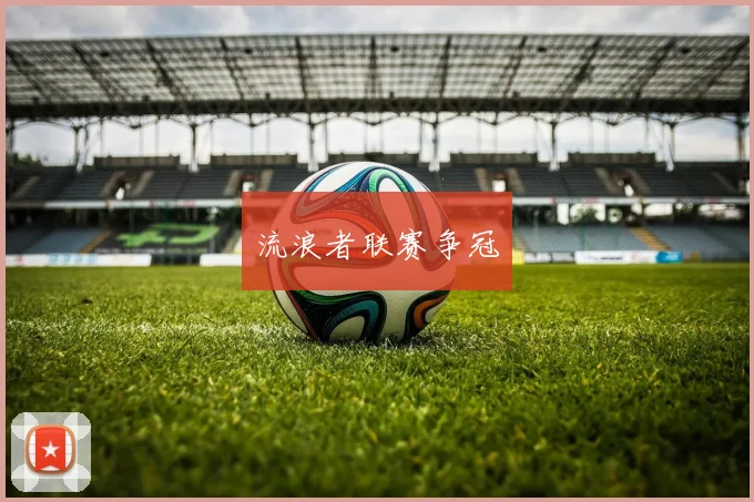 星空app登录入口 - 流浪者联赛争冠