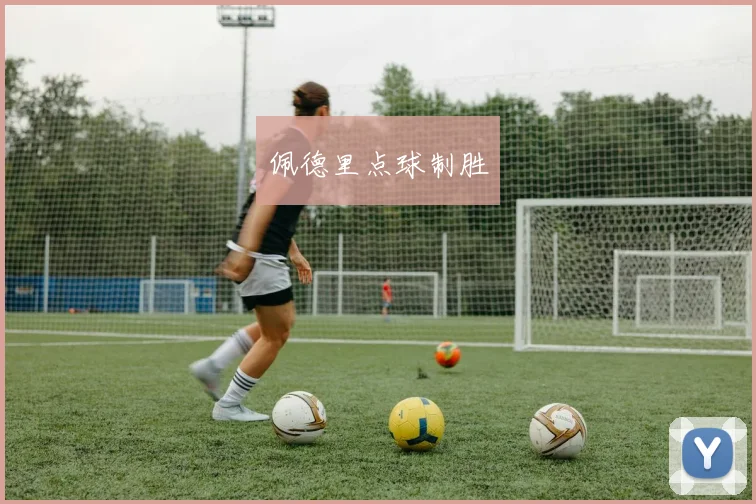 星空app登录入口 - 佩德里点球制胜