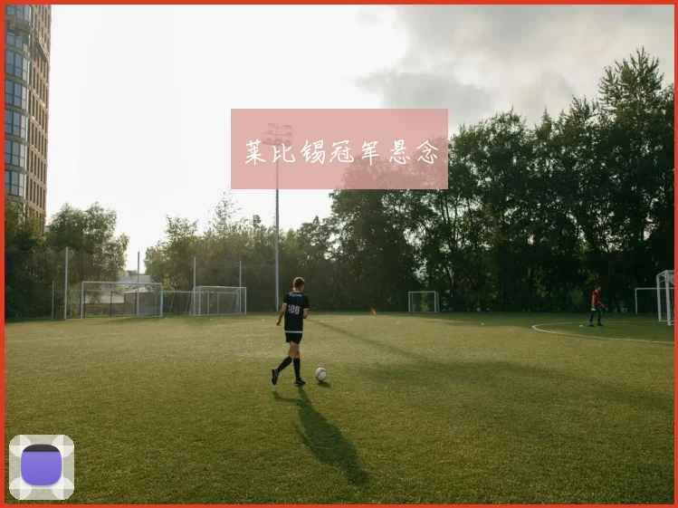 星空app登录入口 - 莱比锡冠军悬念
