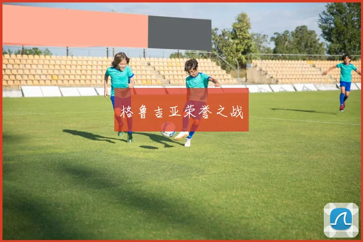 星空app登录入口 - 格鲁吉亚荣誉之战