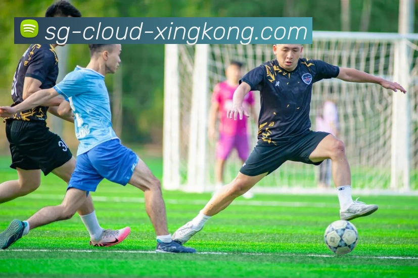 星空app登录入口体育直播