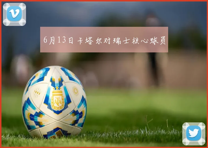 6月13日卡塔尔对瑞士核心球员