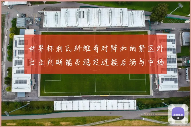 世界杯利瓦科维奇对阵加纳禁区外出击判断能否稳定连接后场与中场