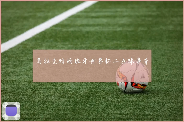 乌拉圭对西班牙世界杯二点球争夺
