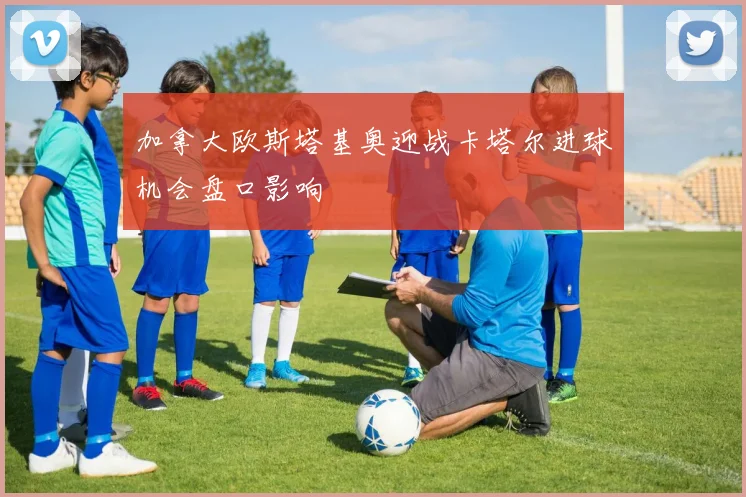 加拿大欧斯塔基奥迎战卡塔尔进球机会盘口影响